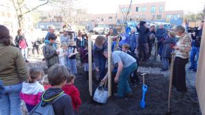 2017.03.15 Bomen planten 3