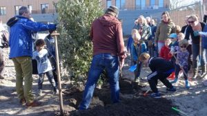 2017.03.15 Bomen planten 5