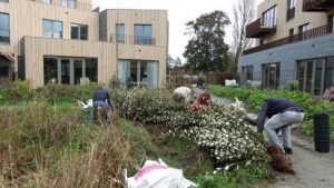 Tuinplantdagen 18 en 25 nov 2017 1