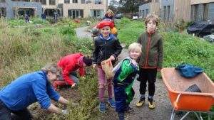 Tuinplantdagen 18 en 25 nov 2017 3