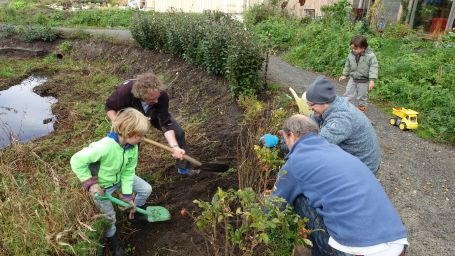 374 Struiken En 673 Bloembollen