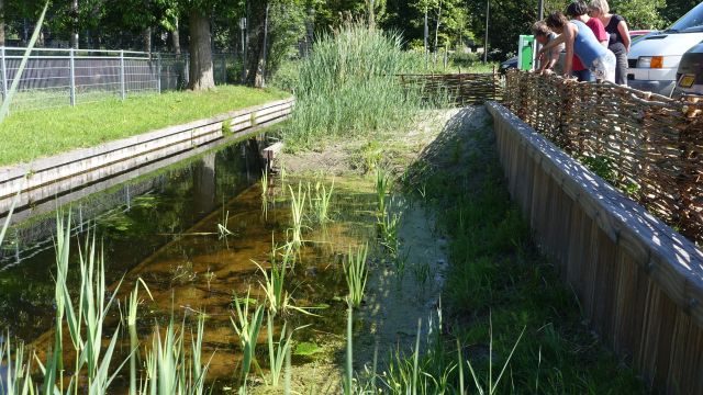 Natuurvriendelijke Oever