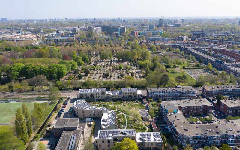 Groene Mient Vanuit De Lucht